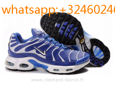basket requin tn